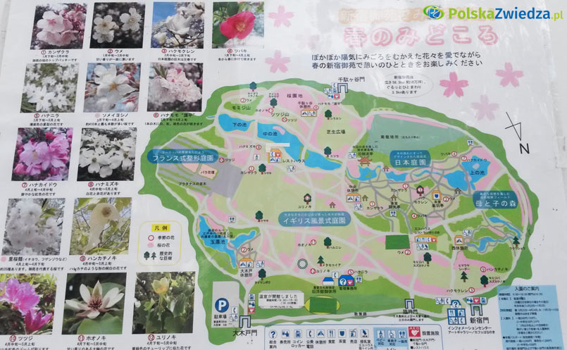 Mapa Shinjuku Gyoen National Garden. Fot. Wojciech Krusiński