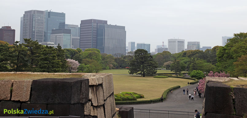 Widok na centrum Tokio. Fot. Wojciech Krusiński
