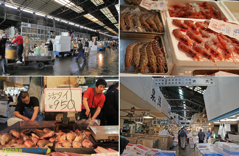 W środku Tsukiji Jogai Shijo / fot. Wojciech Krusiński